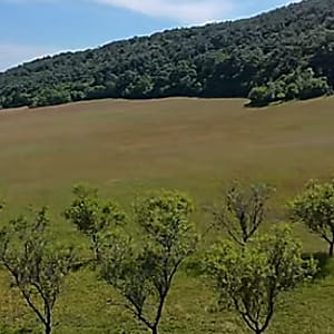 Balaton-felvidéki birtok, saját erdei forrással eladó #5